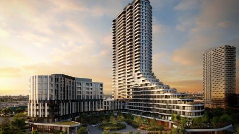 The Clove rendering